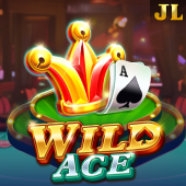 wild ace perya games slot